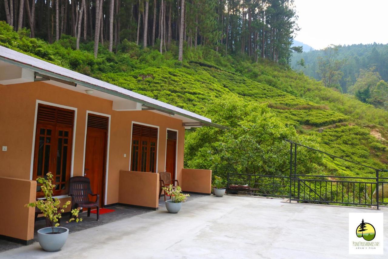 Pine Trees Homestay Nallathanniya Eksteriør billede