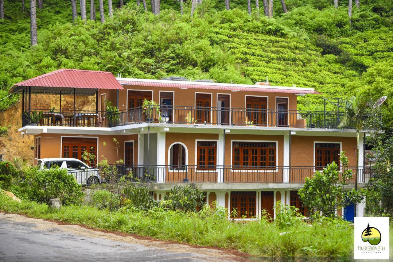 Pine Trees Homestay Nallathanniya Eksteriør billede